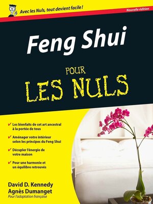 cover image of Feng Shui Pour les Nuls
